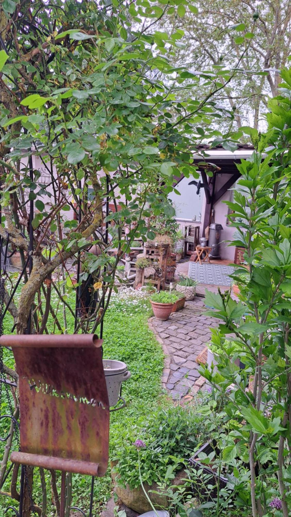 Ferienwohnung Vogt Mertloch Экстерьер фото