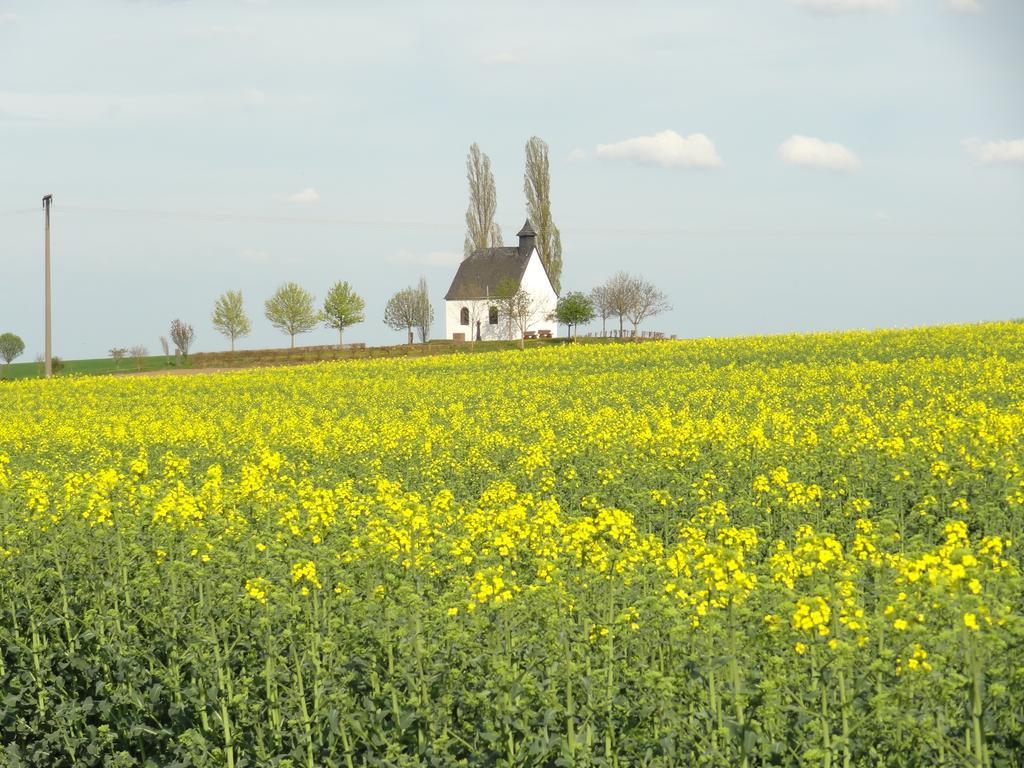 Ferienwohnung Vogt Mertloch Номер фото